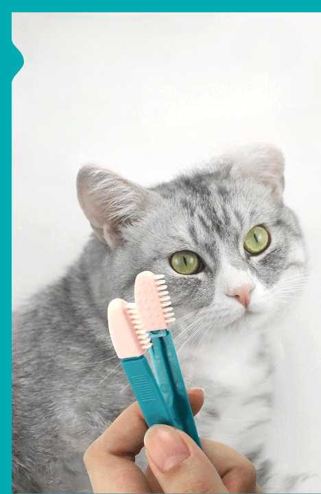 Pince utilitaire bleue turquoise avec embouts texturés pour manipulation précise – Image 2