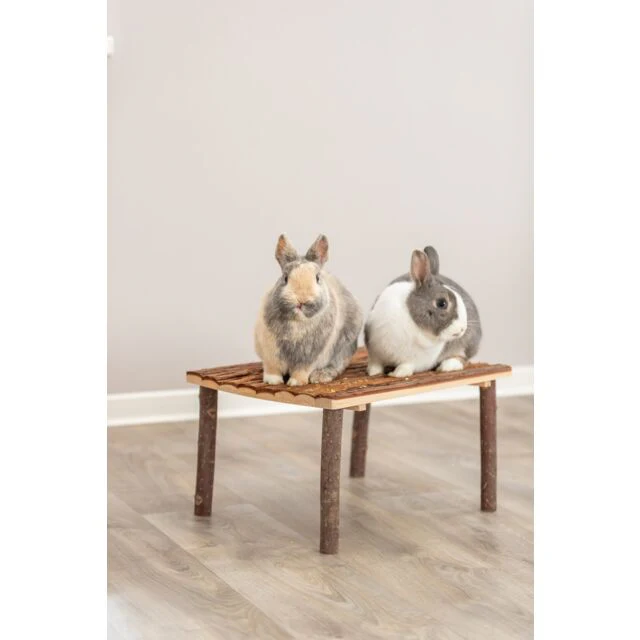 Abri et plate-forme pour lapin et cochon d’Inde – Image 2