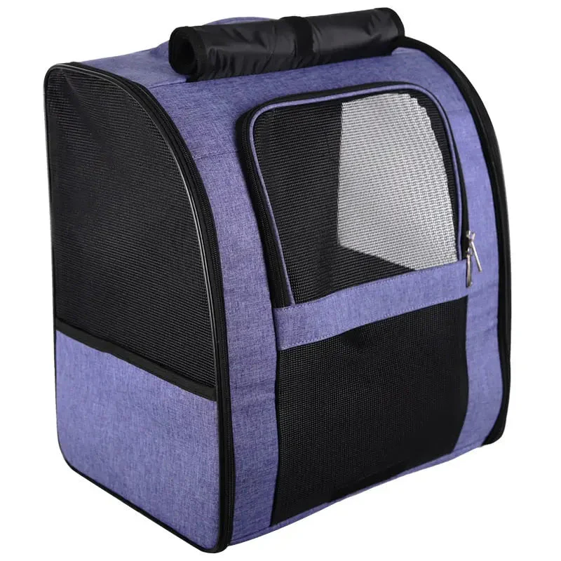 Transporteur Rectangulaire Moderne pour Chat avec Aération Optimale – Image 2