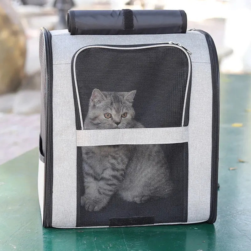 Transporteur Rectangulaire Moderne pour Chat avec Aération Optimale – Image 5