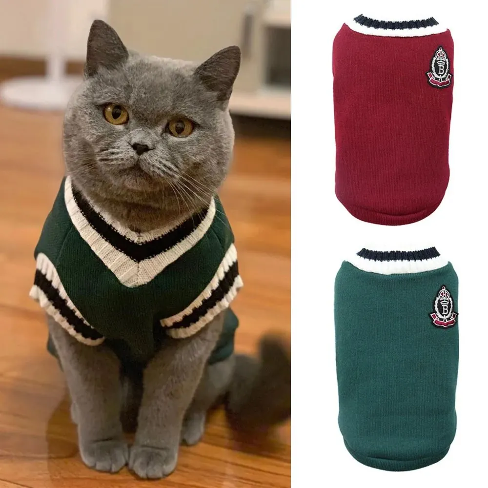 Pull Pour Petit Chien Campus – Image 2