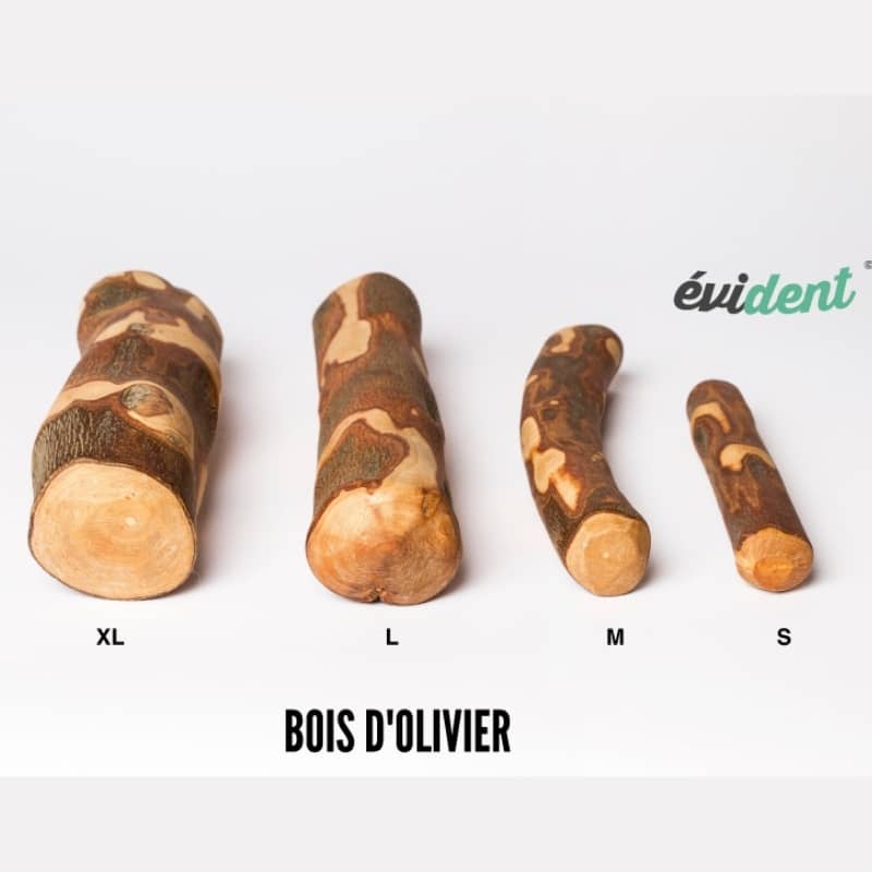BOIS D’OLIVIER À MÂCHER NATUREL POUR CHIEN – Image 2