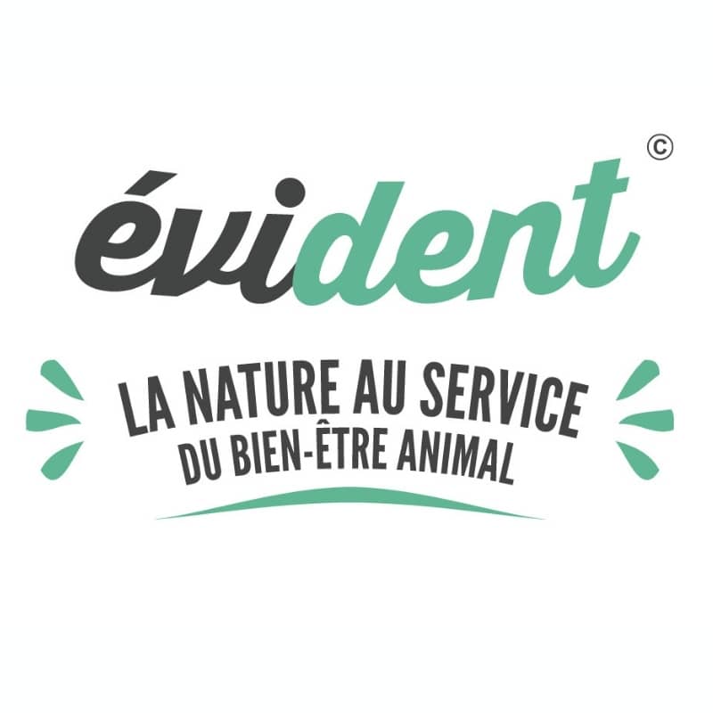 BOIS DE CERF À MÂCHER NATUREL POUR CHIEN – Image 4