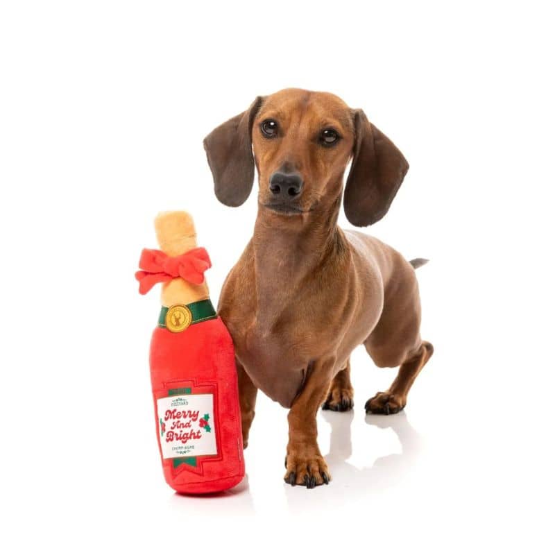 PELUCHE NOEL POUR CHIEN - BOUTEILLE FESTIVE 🍾 – Image 2