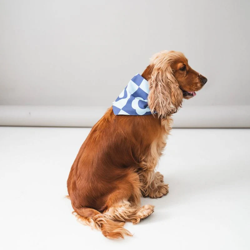 BANDANA POUR CHIEN - FLEURS BLEUES RETRO – Image 2