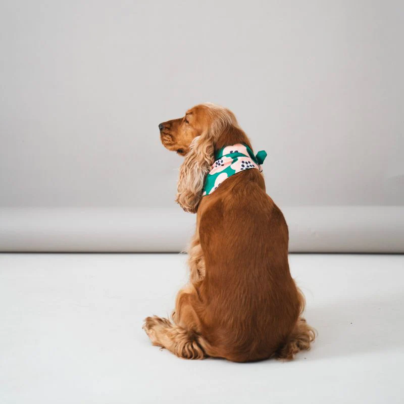 BANDANA POUR CHIEN - VERT À FLEURS – Image 2