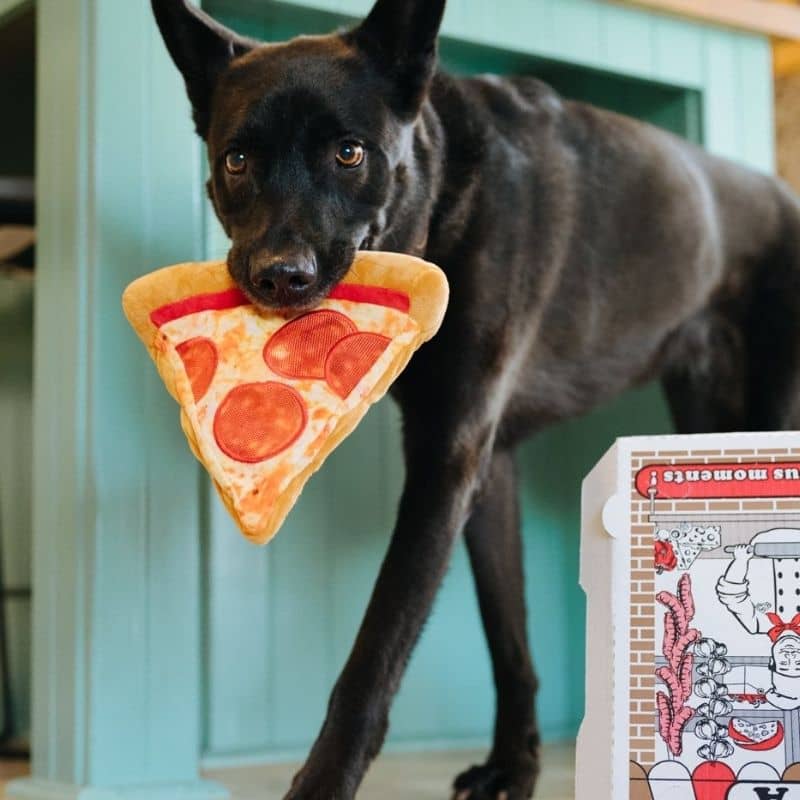 PELUCHE POUR CHIEN - PART DE PIZZA đ (2 TAILLES DISPO) â Image 2