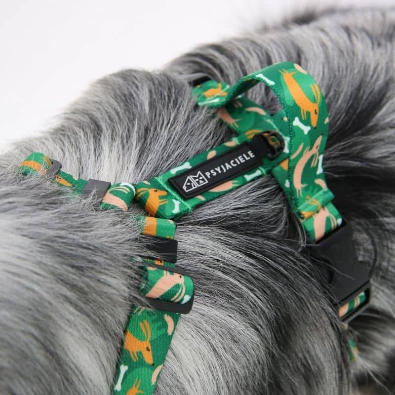 HARNAIS POUR CHIEN - CHIEN SAUCISSE – Image 3