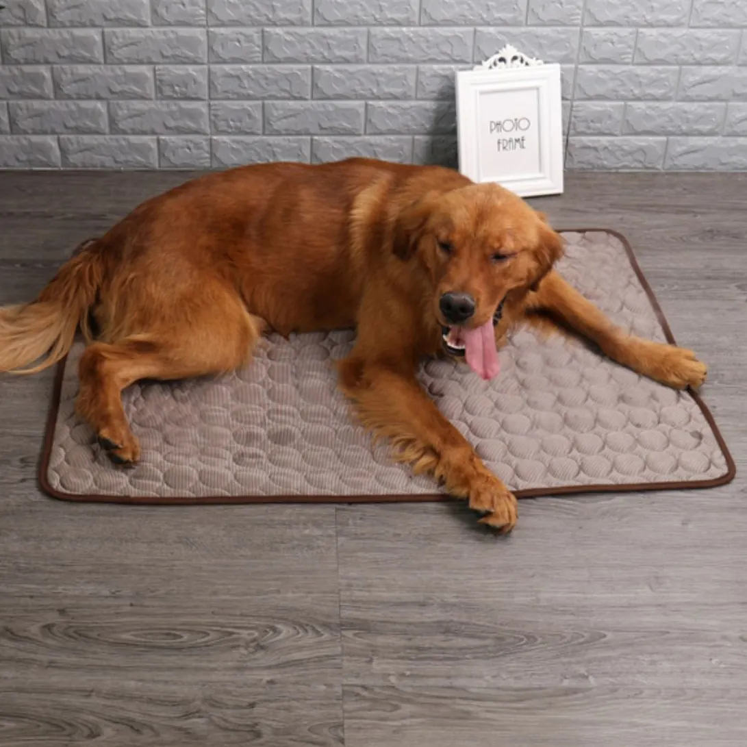 Tapis Rafraîchissant Chien Calma – Image 3