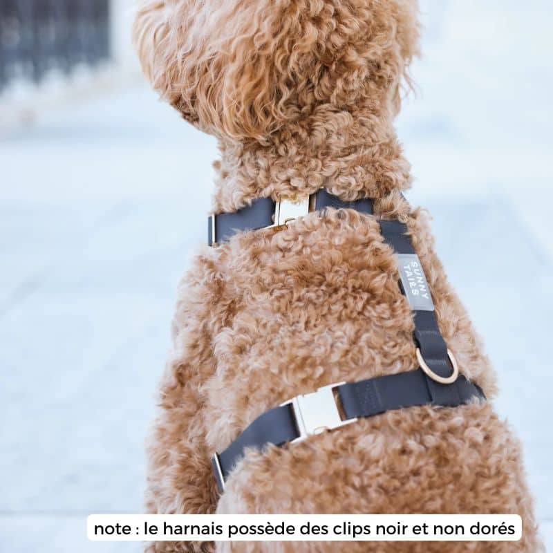đ HARNAIS POUR CHIEN WATERPROOF - NOIR *BOUCLES COULEURS* â Image 2