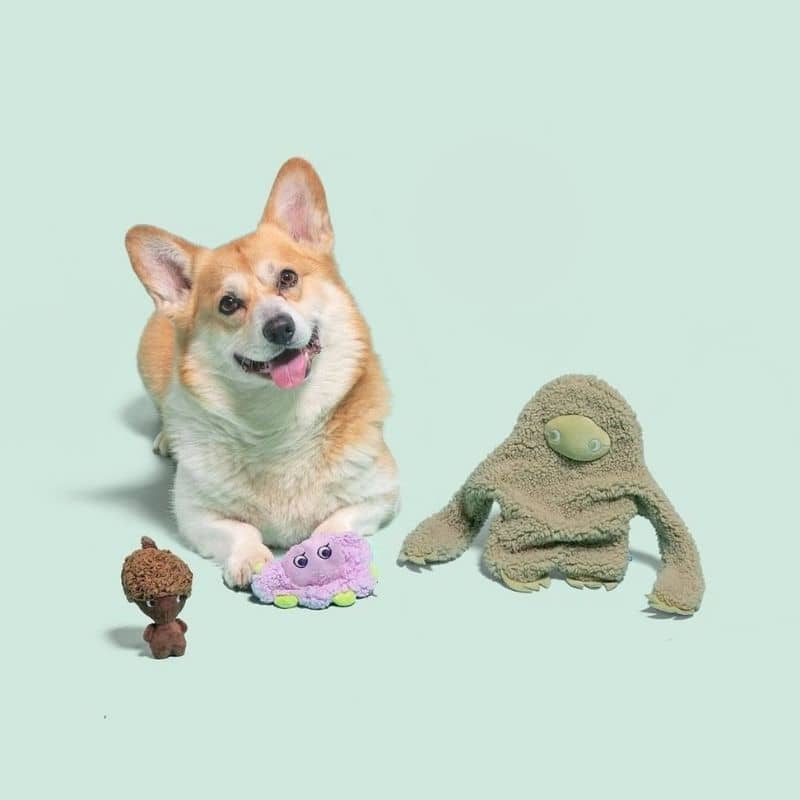 PELUCHE APAISANTE AUX HUILES ESSENTIELLES POUR CHIEN - MUSK – Image 2