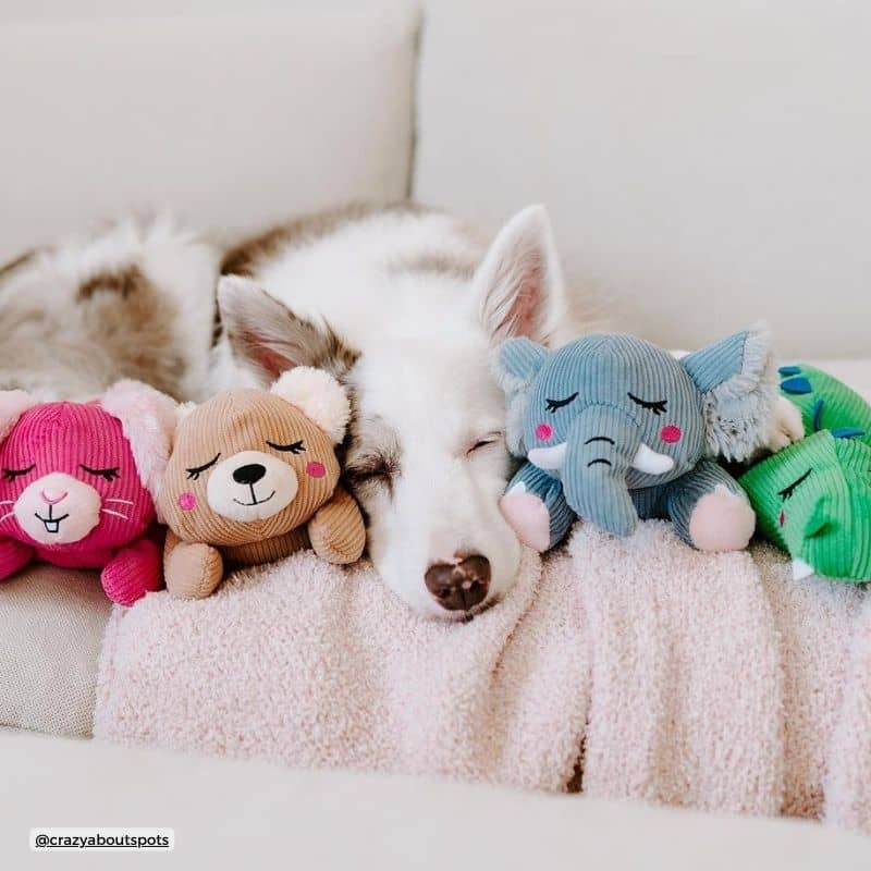 PELUCHE SILENCIEUSE POUR CHIEN - OURSON đ» â Image 3